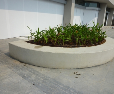 Project